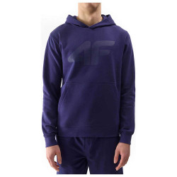 4F Ανδρικό φούτερ